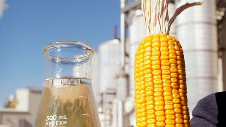 La producción nacional de bioetanol de maíz creció 10,5% en 2023