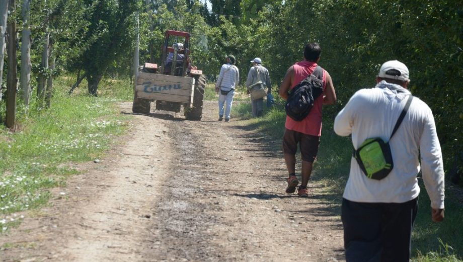 Realizarán test aleatorios al 30% de los trabajadores golondrina que ingresen a Río Negro