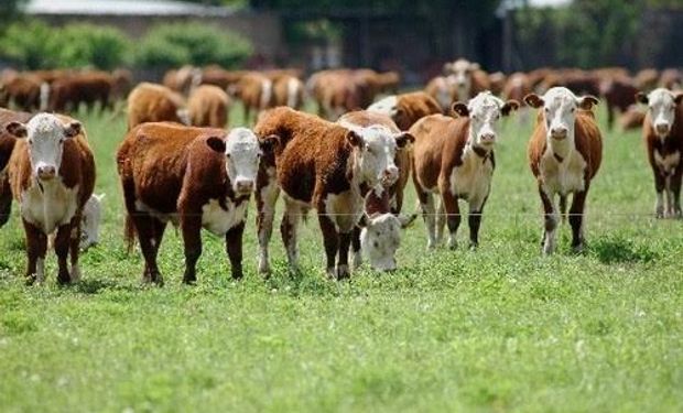 Diciembre completó un año de muy saludable crecimiento de la faena