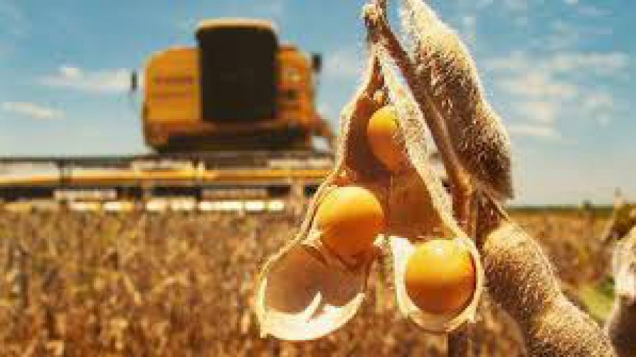 USDA: las ventas semanales de soja en EE. UU. Son muy débiles y muy por debajo de las expectativas