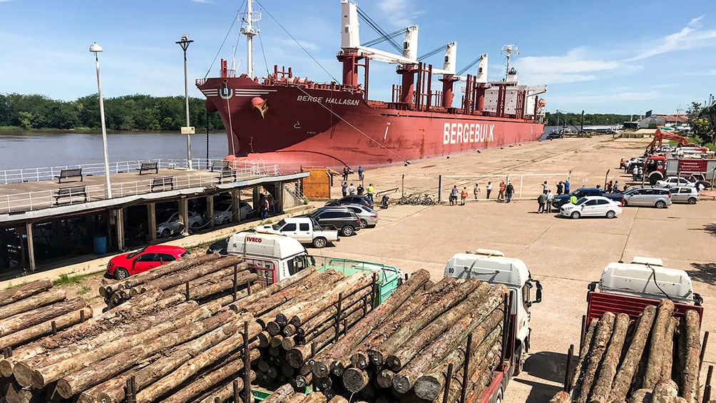 China bajó aranceles para bienes de madera, se espera mayor producción forestal nacional