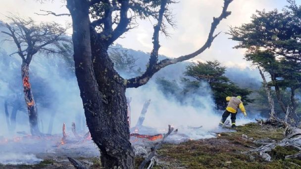 Detuvieron incendio forestal en las cercanías del Glaciar Upsala en Santa Cruz