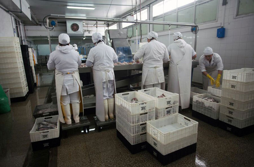 Carne vacuna : las remesas al exterior totalizaron en julio  69,1 mil toneladas