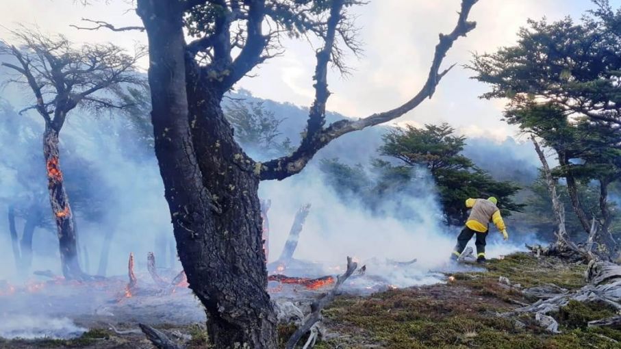 No se registran focos activos de incendios forestales en el país