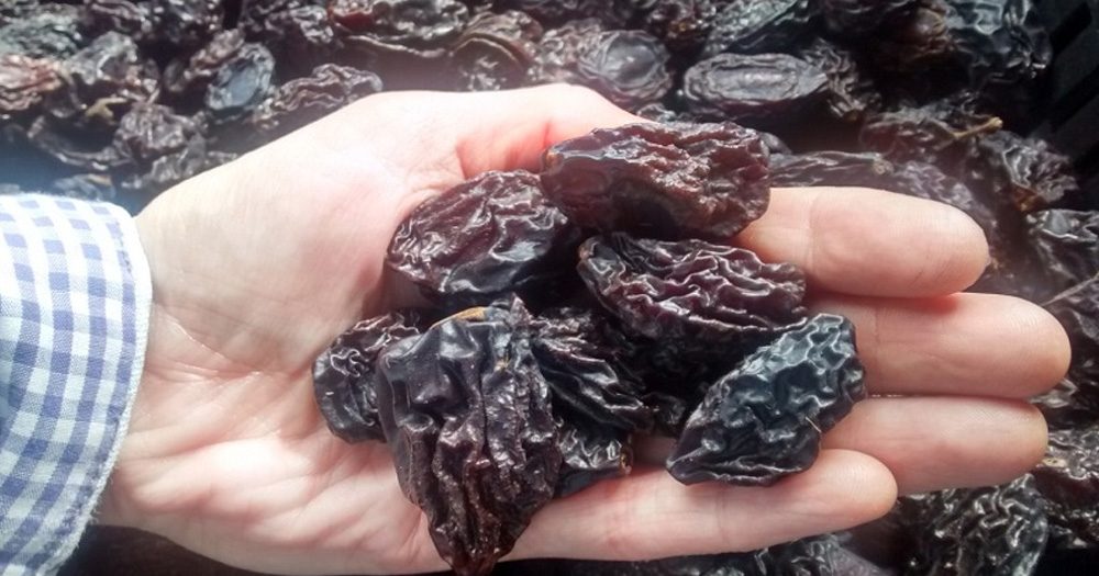 Elaboran snacks saludables con excedentes de ciruela