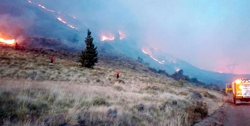 Productores de la comarca afectada por incendios sufrieron pérdidas millonarias