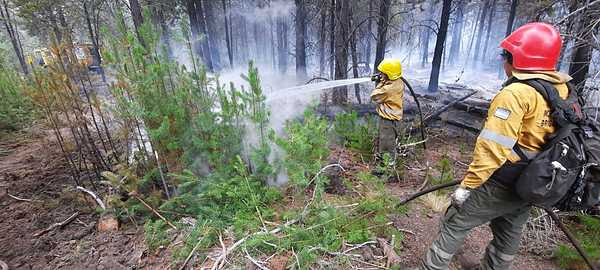 Río Negro y Catamarca mantienen incendios forestales activos