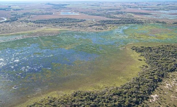 El INTA proyecta herramientas para el uso agroindustrial sostenible de los humedales