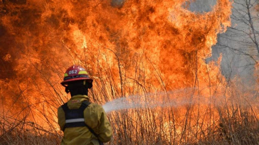 La Pampa, Neuquén y Chubut mantienen focos de incendios forestales