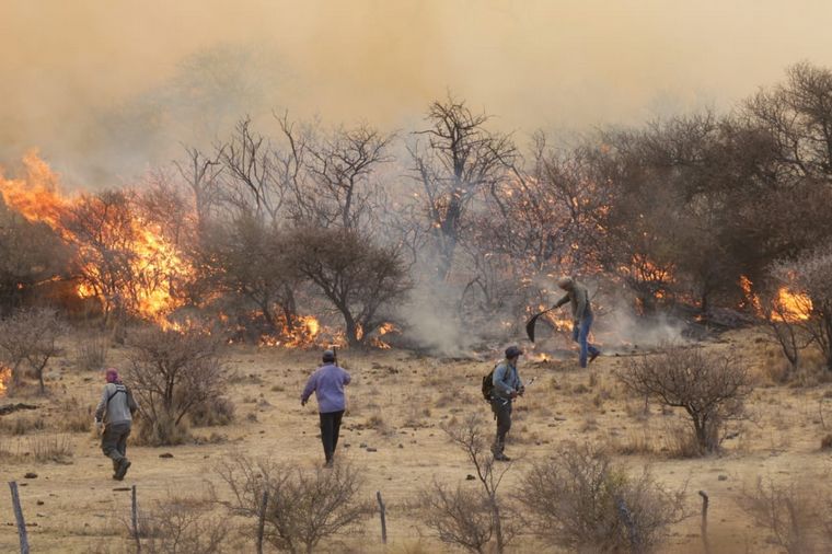 Impulsan proyecto para elevar hasta 25 años la pena por causar incendios forestales