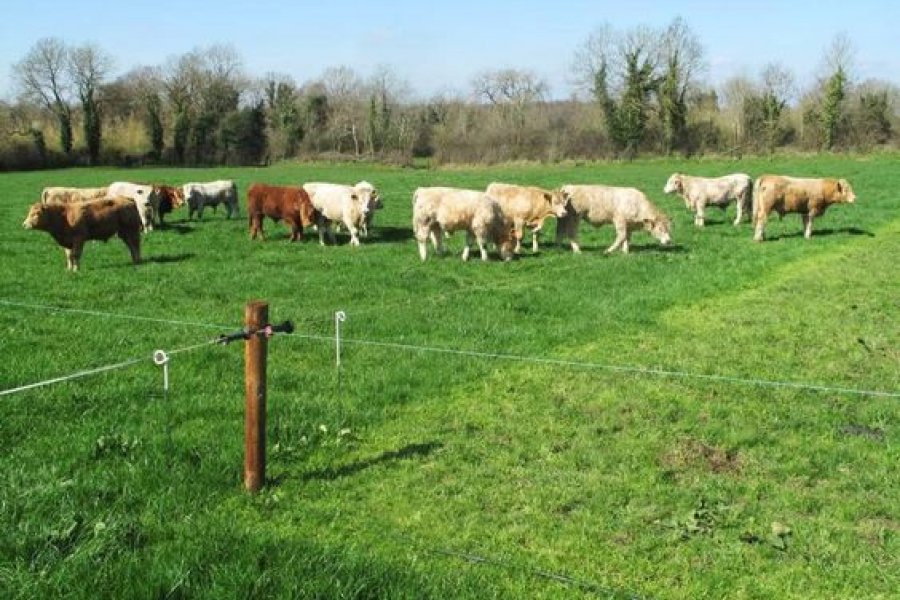 Licitan boyeros solares para electrificar alambrados de pequeños agricultores en 19 provincias