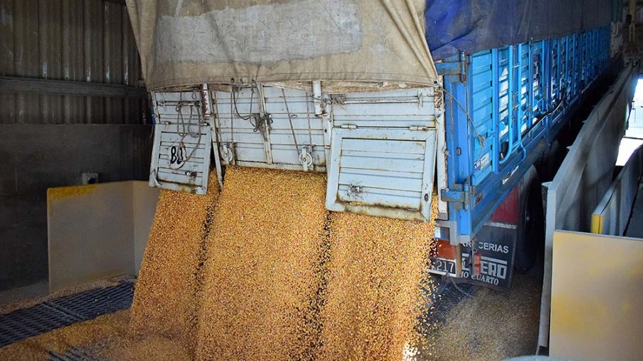 Reglamentan el aumento de 22,5% para el transporte de cargas de cereales y oleaginosas