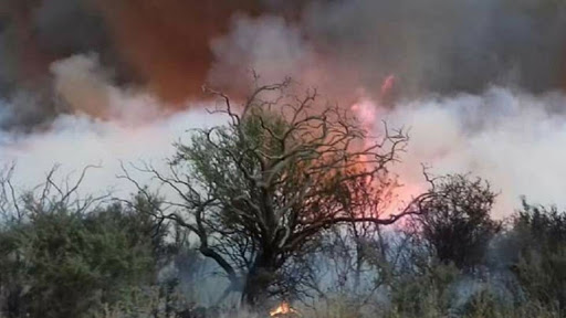 Se reportan focos activos de incendios forestales en los Lagos, Neuquén, y en Río Chico, Santa Cruz