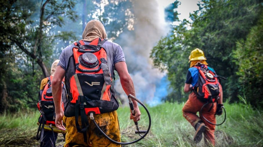 Emergencia Forestal: inician relevamiento de productores afectados por incendios en Corrientes