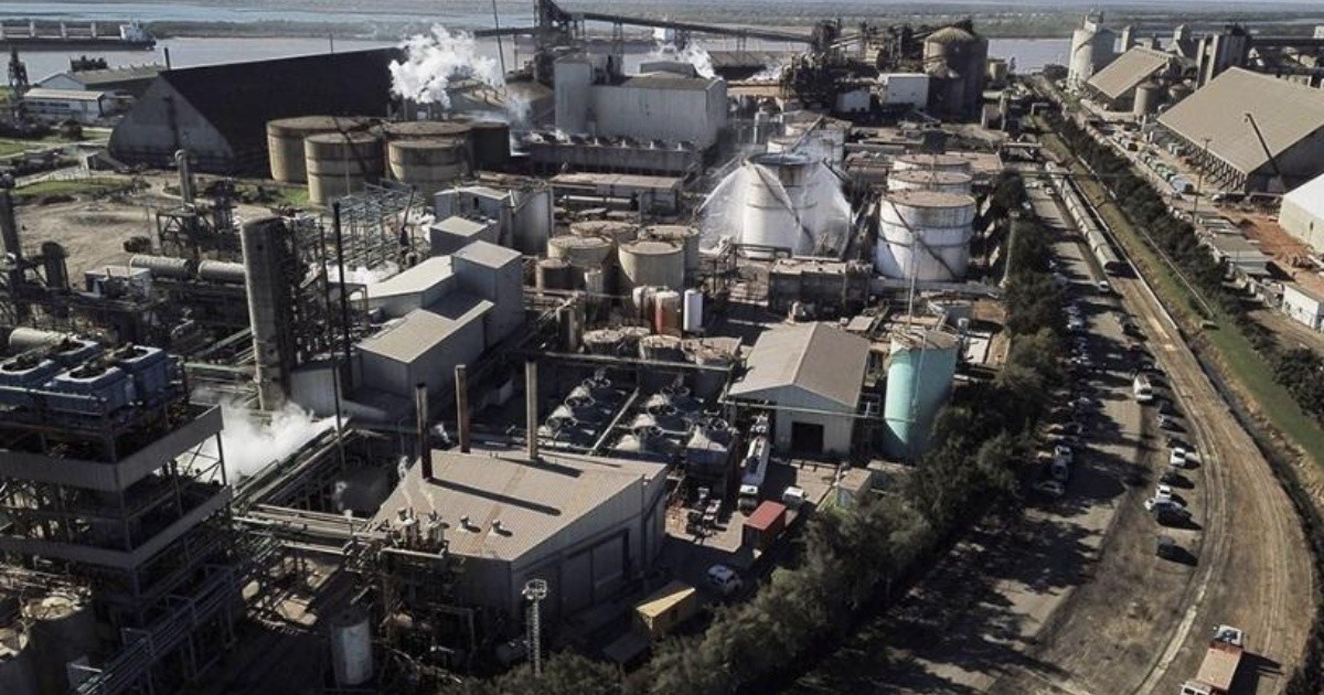 Coninagro propone al cooperativismo para salvaguardar la producción y el trabajo en Vicentin