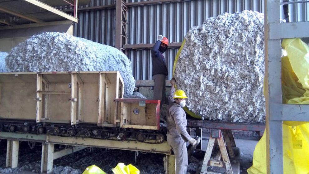 Paro nacional de desmontadores algodoneros en reclamo de aumento de salarios