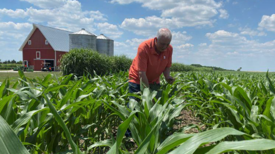 La próxima temporada de siembra de maíz y soja en Estados Unidos se ha convertido en una de las más esperadas de la historia debido a las existencias inusualmente escasas y los precios elevados.