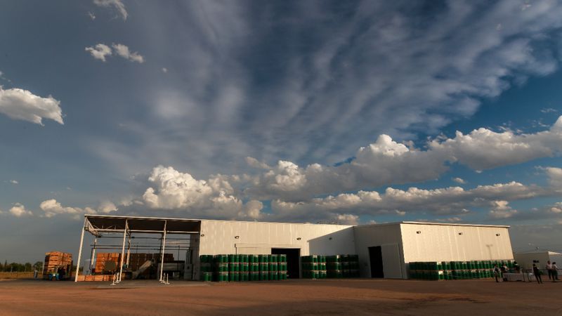 Desde San Rafael exportarán 400.000 kilos de pulpa de durazno a Brasil