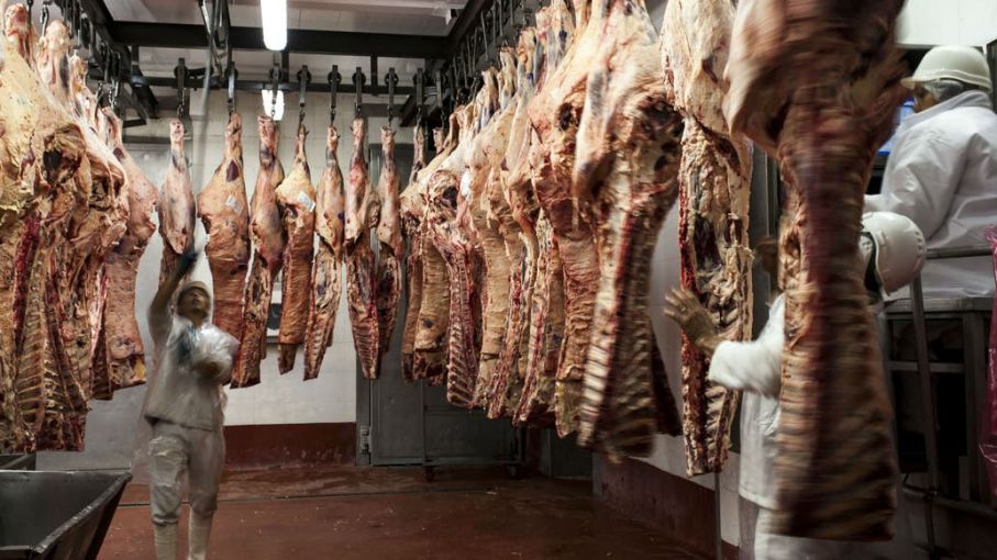 Leve caída de las exportaciones de carne en enero, con precios en fuerte baja