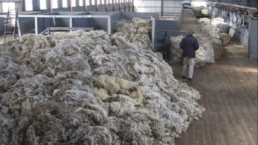 Argentina habilitó la importación de lana sucia proveniente de Chile