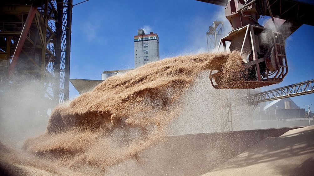 Agricultura otorga prórroga de 90 días para realizar embarques de quienes adhieran al dólar soja