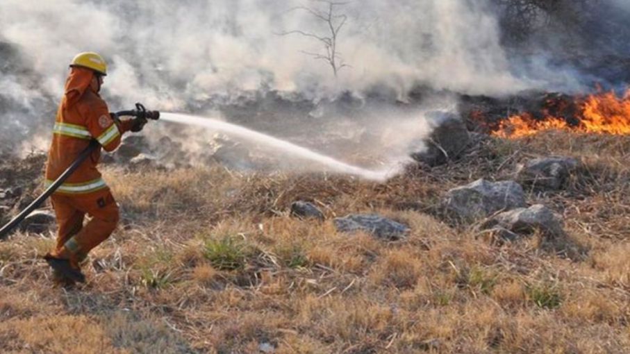Hay cinco focos activos de incendios ubicados en Chubut, Entre Ríos, Buenos Aires y Misiones