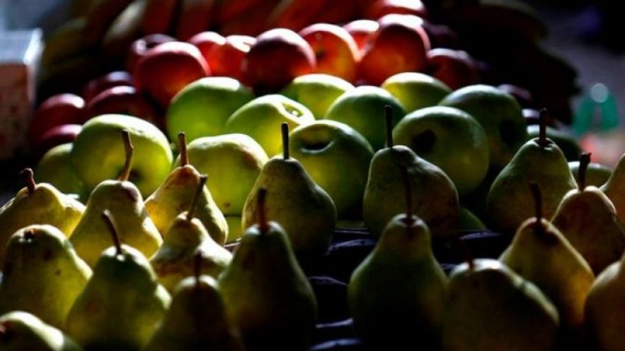 Avanza la creación de un mapa frutícola bonaerense