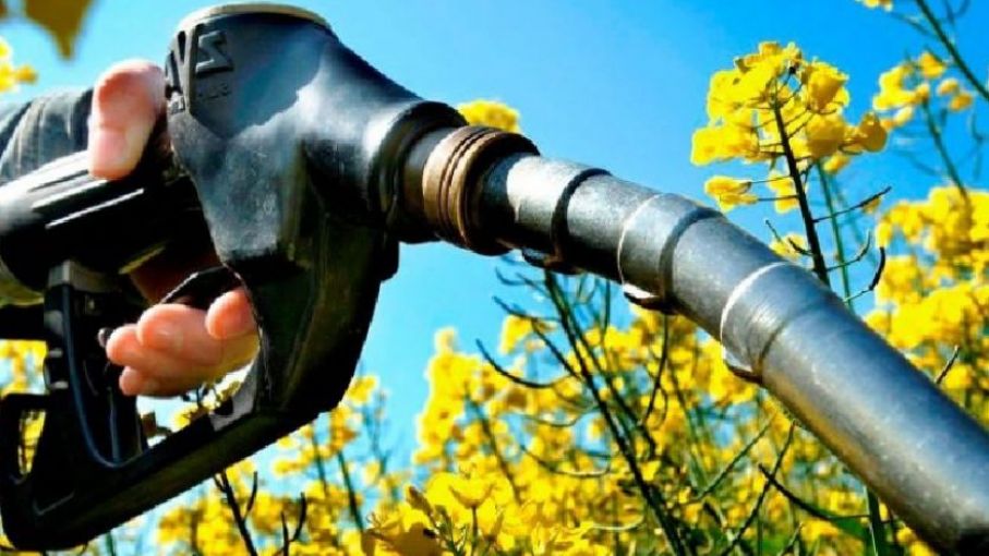 La producción de biodiesel cayó 90,1% y la de bioetanol 18,1% en el 4° trimestre de 2020