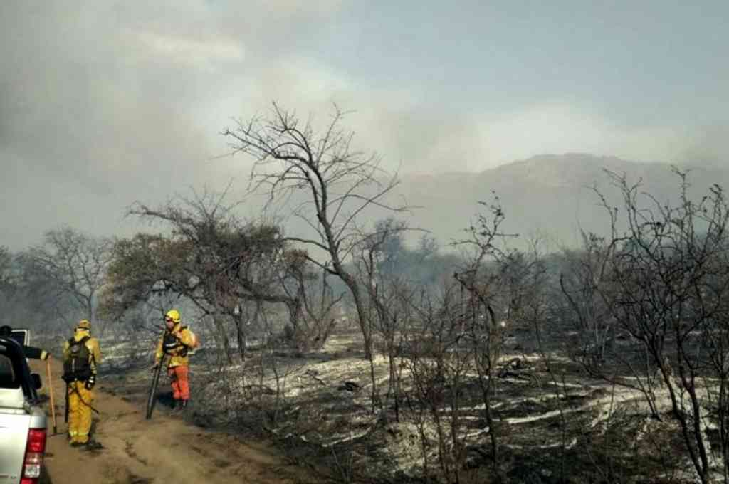 Continúan activos cuatro incendios en Chubut y uno en Buenos Aires