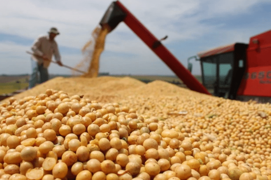 Analizan los programas para impulsar la producción agropecuaria y de alimentos