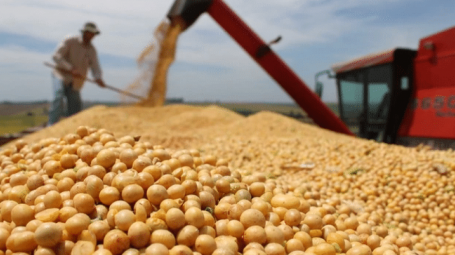 Analizan los programas para impulsar la producción agropecuaria y de alimentos