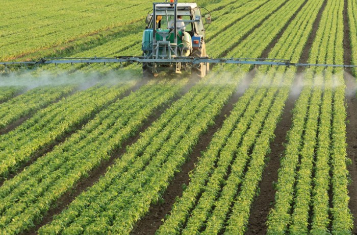 La Provincia prorrogó otra vez la suspensión de la ley que regula los agroquímicos