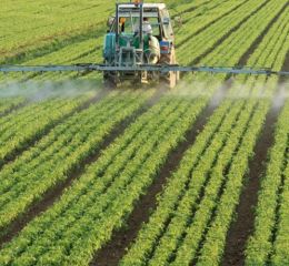 Legislatura bonaerense: presentan un proyecto de ley sobre agroquímicos que incluye zonas de "amortiguamiento"