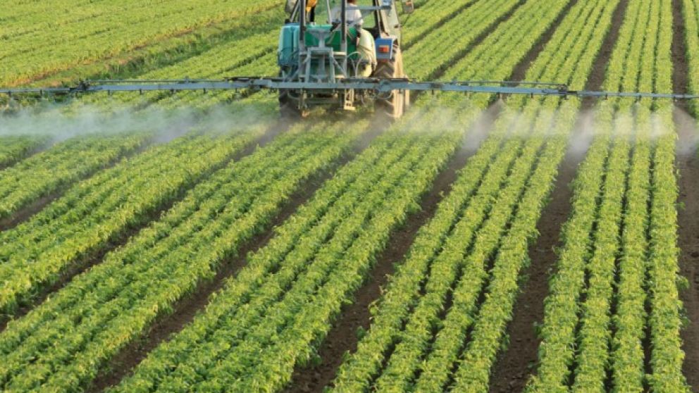 Legislatura bonaerense: presentan un proyecto de ley sobre agroqumicos que incluye zonas de "amortiguamiento"
