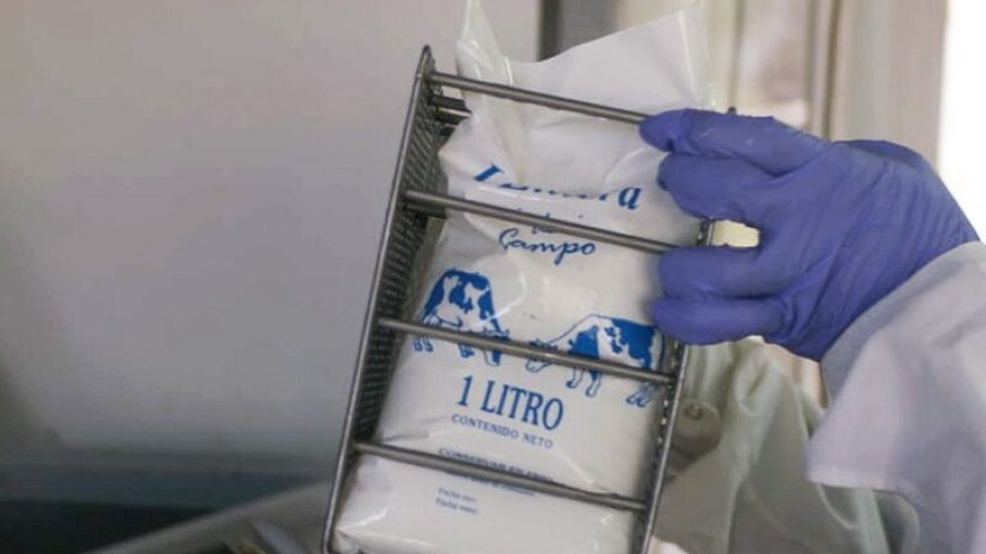 Buscan pasteurizar leche dentro del sachet para agregar valor a producción de pequeños tambos