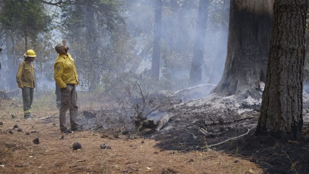 Disponen medidas de alivio fiscal para las comarcas del paralelo 42 afectadas por incendios