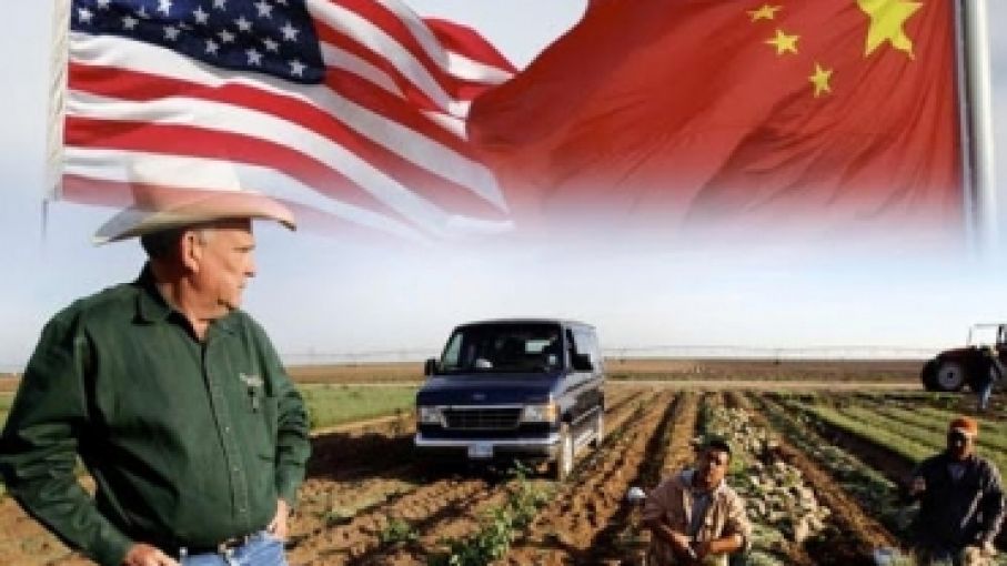 Estados Unidos anuncia la mayor compra de venta de maíz a China desde enero