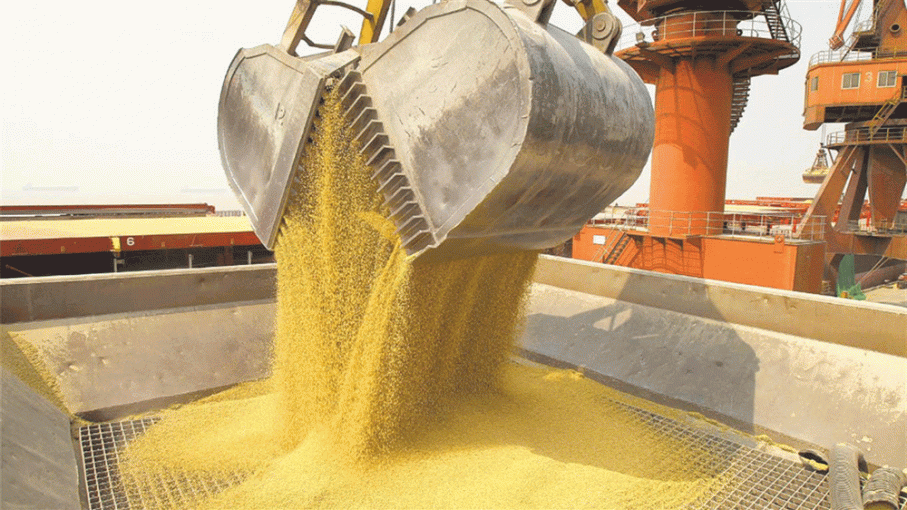 Argentina: actualización del registro de exportadores de granos a China