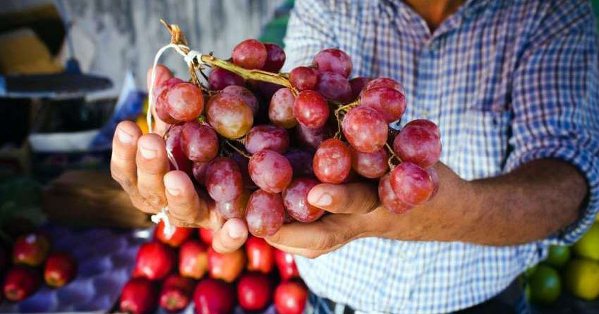 Brasil facilitaría en breve el ingreso de la uva en fresco de Argentina