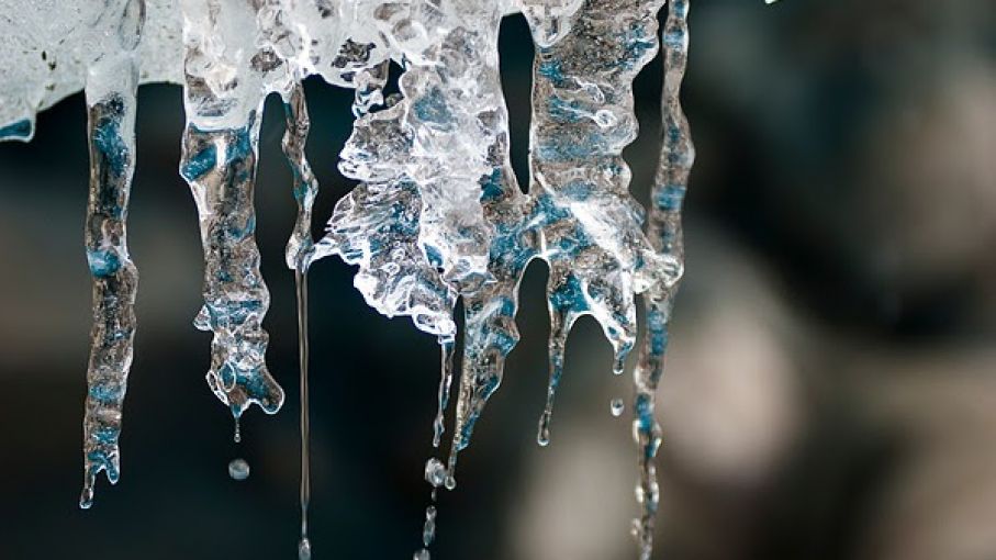 Ambiente organizará la "Semana de Acción Climática"