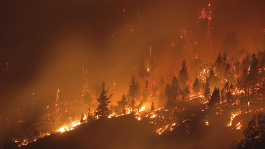 Continúan activos los incendios forestales que afectan a la Patagonia