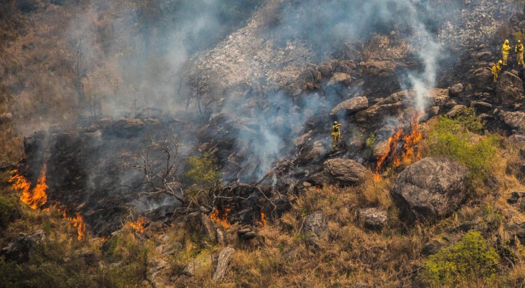 Continúan controlados focos de incendios forestales en el país