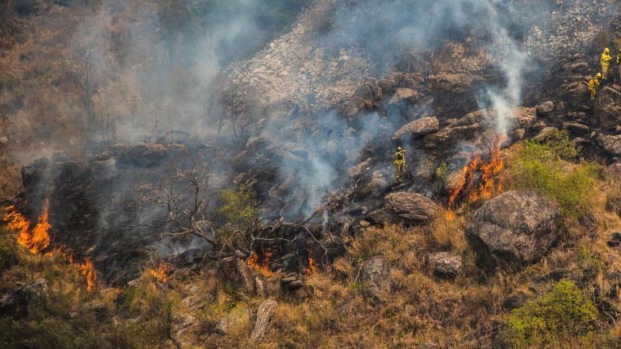Continúan activos los focos de incendios forestales en Río Negro, Chubut y Santa Cruz