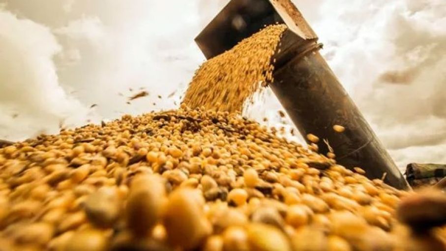 Sequía mata dólares: se perderían u$s 3.300 millones sólo por el trigo y la cebada