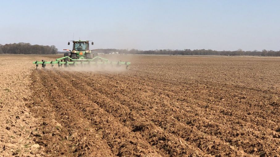 Los agricultores estadounidenses se preparan para una gran superficie de maíz