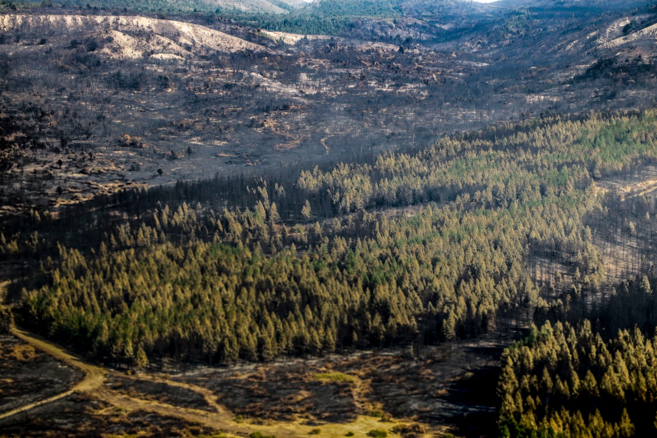 Chubut: buscan regularizar el dominio de tierras afectadas por los incendios en Lago Puelo