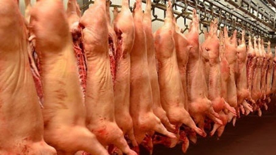 Argentina podrá exportar carne de cerdo a los Emiratos Arabes Unidos