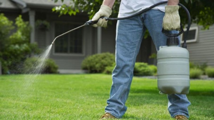 El Senasa trabaja para prohibir el uso del insecticida clorpirifos