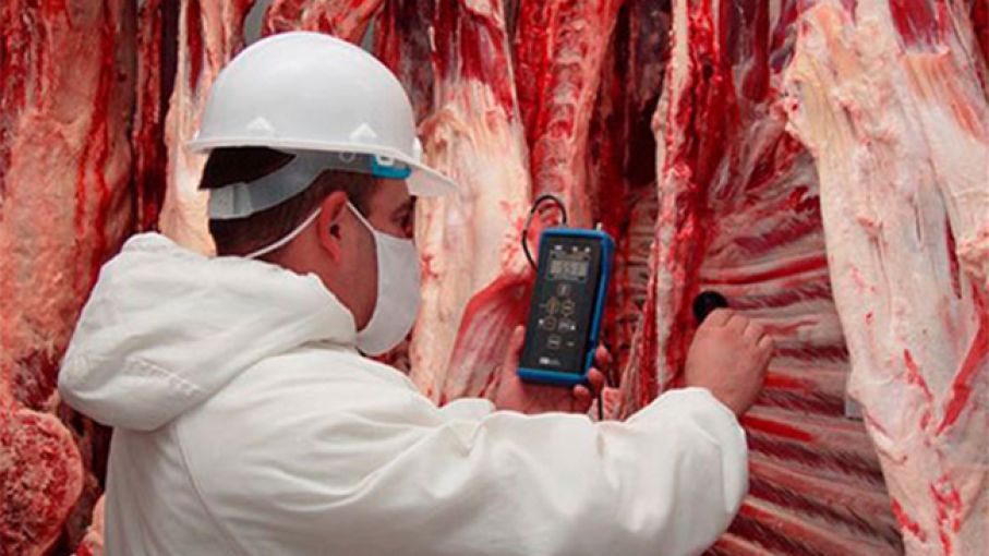 Moroni: el límite a exportaciones terminará cuando el mercado esté "plenamente estabilizado"