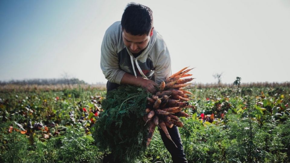 "No especulamos con el hambre del pueblo"